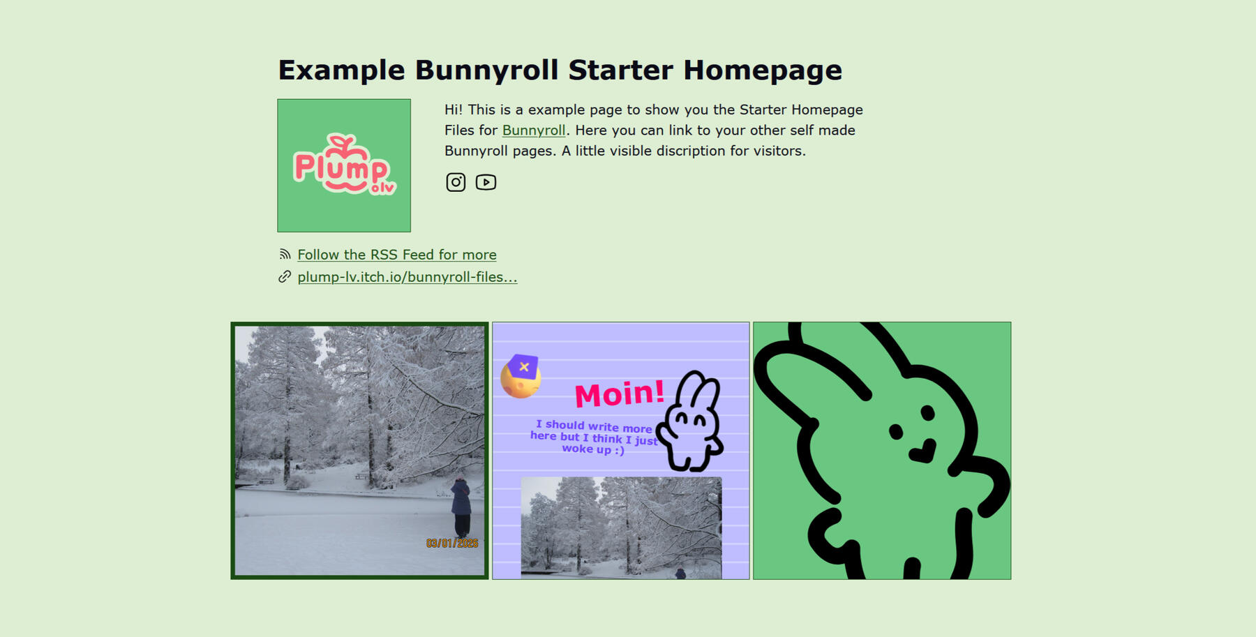 Example Bunnyroll Stater Homepage Screenshot A green background with pictures in the front as a instagram grid. There is a profile pic with text along site it